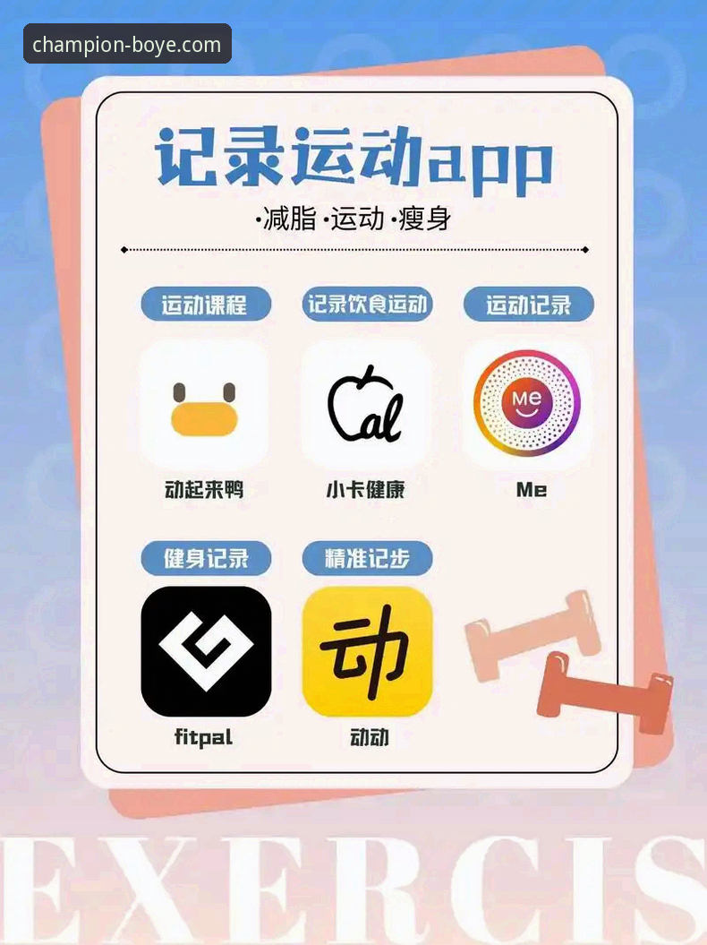 博业体育App最新版 博业体育App最新版:从下载到精通的全方位使用指南