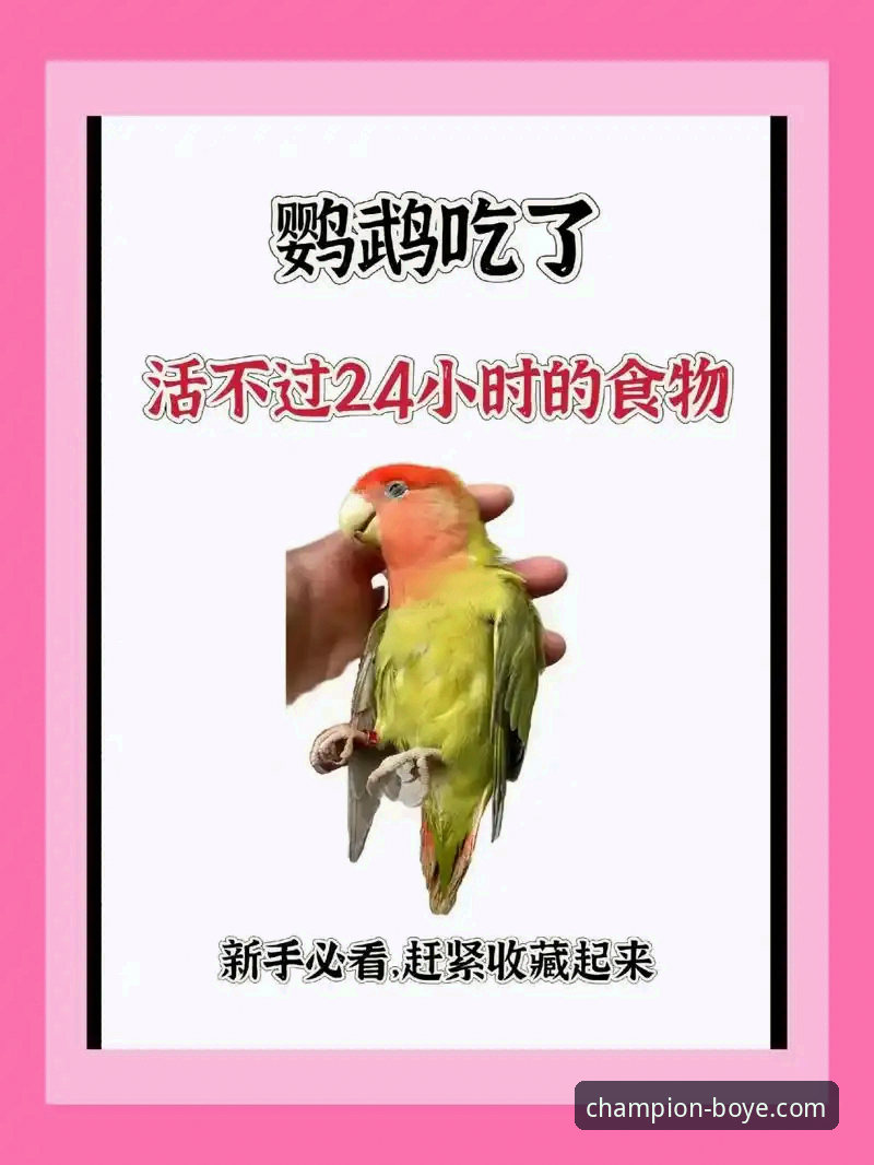 新手必看！博业体育赔率分析实战经验——从入门到精通的全流程心得